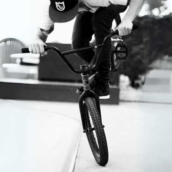 Picture for category BMX